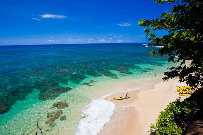 Hanalei River Paddle and Bay Snorkel Tour with Lunch - Quick hits: what makes this Hanalei kayak and snorkel tour special