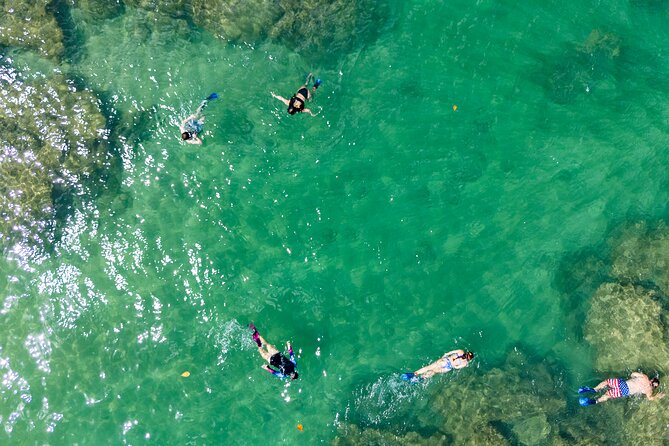 Hanalei River Paddle and Bay Snorkel Tour with Lunch - Lunch and snacks: what you actually get during the tour