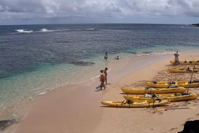 Hanalei River Paddle and Bay Snorkel Tour with Lunch - Guide quality and safety: why the named guides matter