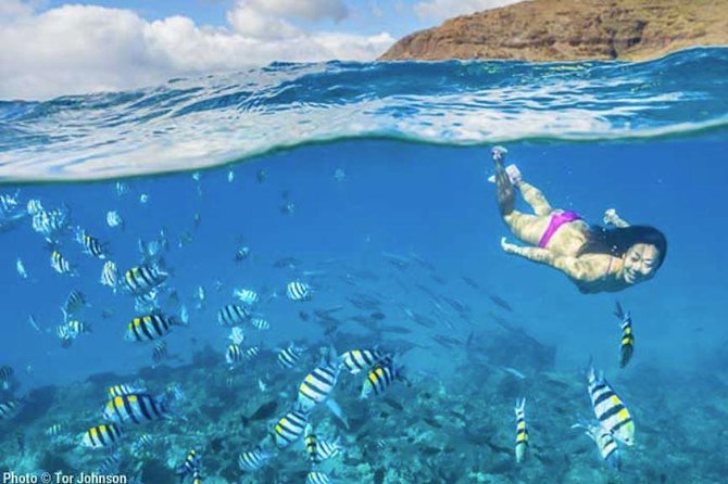 Hanalei River Paddle and Bay Snorkel Tour with Lunch - Price and value: is $155 worth a half-day on the water?