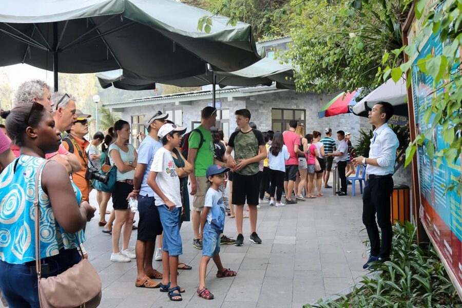 Hanoi: Islands & Caves Ha Long Cruise with Lunch & Kayaking - Should you book this DragonflyCruise day trip?