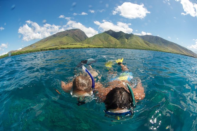Hawaiian Outrigger Canoe Cultural and Turtle Tour - Turtletown off Wailea Point: honu, honu’ea, and the odds of a close encounter