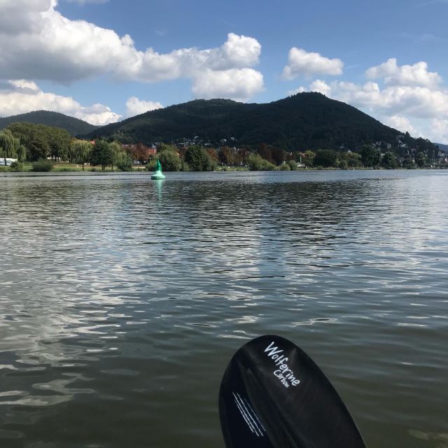 Heidelberg: 2-Hour Kayak Tour - Paddling Past the Historic Bridge and Waterfront