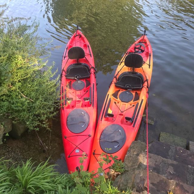 Heidelberg: 2-Hour Kayak Tour - Timing, Weather, and What to Wear on the Neckar