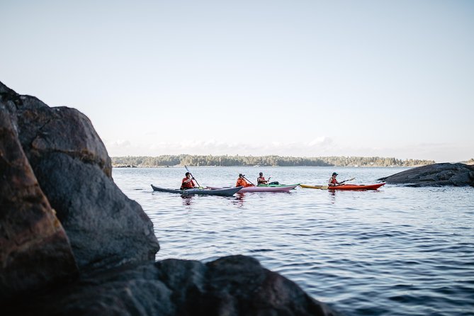 Helsinki by Kayak - The best part: your guide teaches skills and keeps things safe