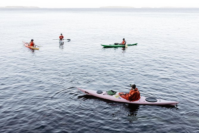 Helsinki by Kayak - What happens on the water (and what you should notice)