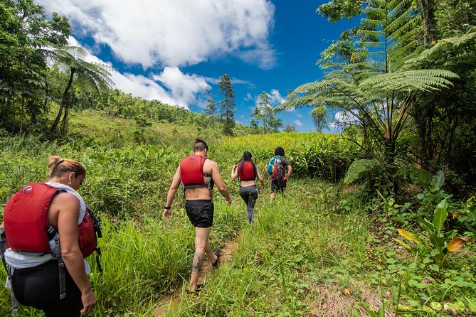 Hike El Yunque Rainforest and Kayak Bio Bay Combo Tour - Key highlights to know before you go