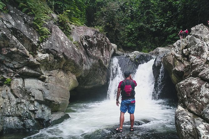 Hike El Yunque Rainforest and Kayak Bio Bay Combo Tour - Full day, real nature: El Yunque in the morning, bioluminescent bay at night