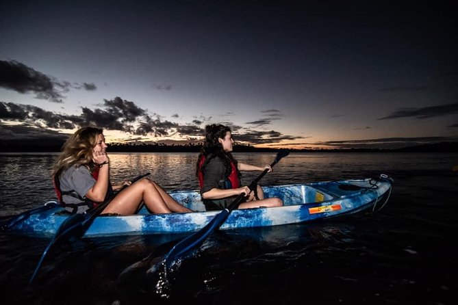 Hike El Yunque Rainforest and Kayak Bio Bay Combo Tour - Laguna Grande bioluminescent kayak: mangroves, dark water, and the plankton show