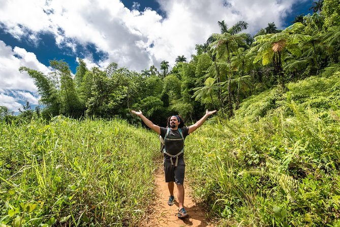 Hike El Yunque Rainforest and Kayak Bio Bay Combo Tour - Mosquitoes, waterproof phones, and the small things that make a big difference