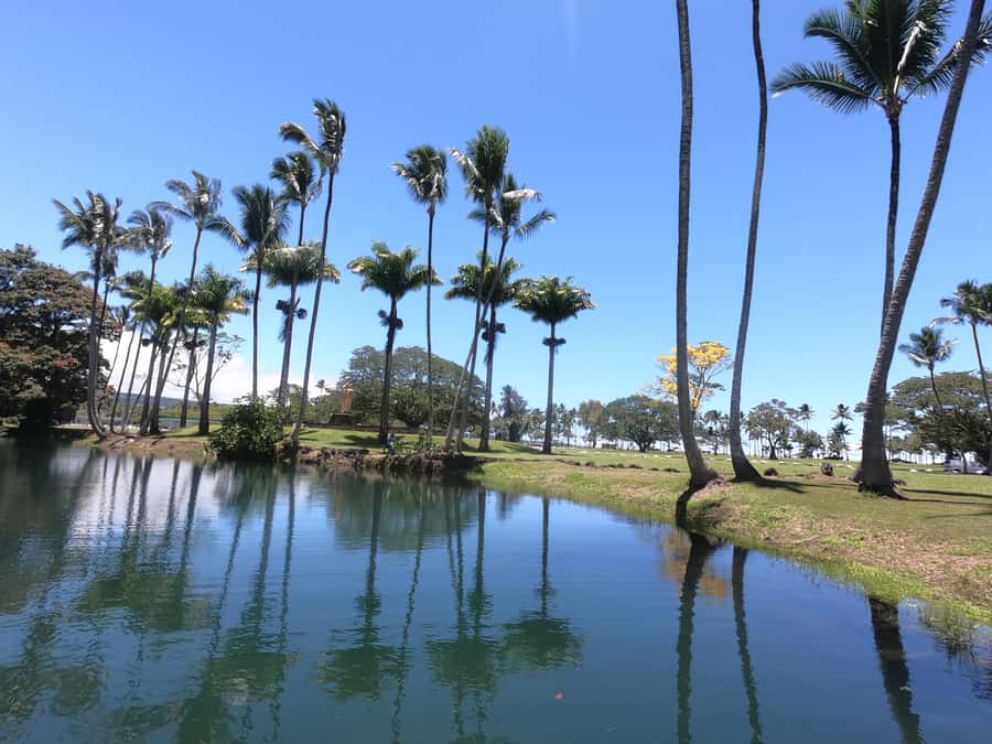 Hilo: Wailoa River to King Kamehameha Guided Kayaking Tour - The Fern Grotto and Quiet Scenic Corners