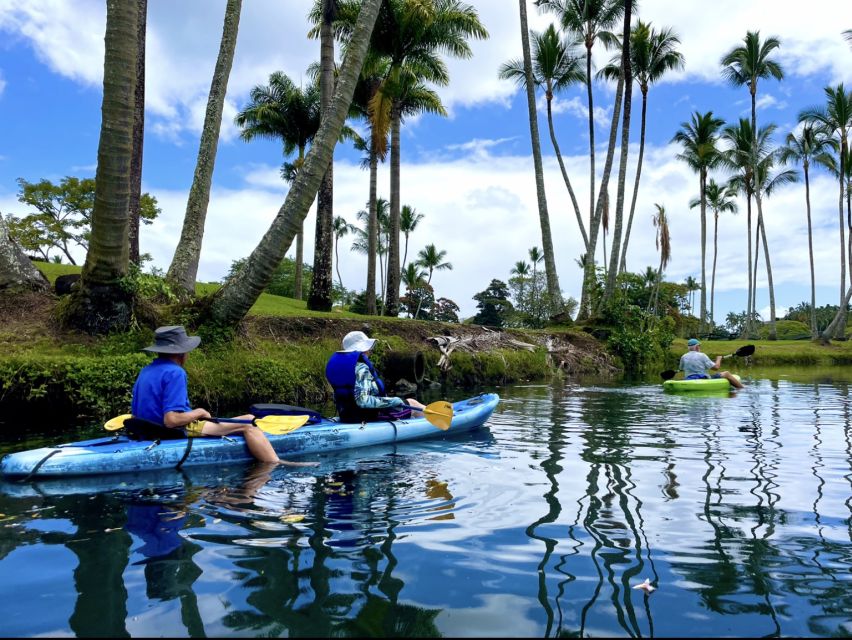 Hilo: Wailoa River to King Kamehameha Guided Kayaking Tour - Who This Tour Fits Best (And Who Should Skip It)