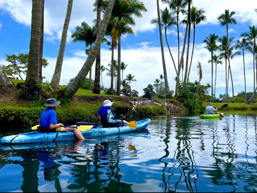 Hilo: Wailoa River to King Kamehameha Guided Kayaking Tour - Getting on the Water: The Boat Ramp and Easy Entry