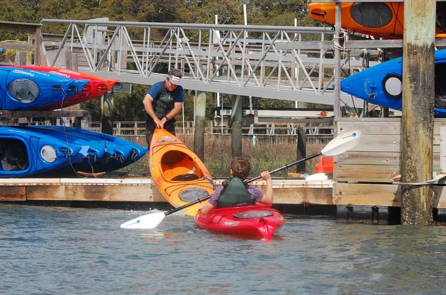 Hilton Head: 2-Hour Kayak Dolphin Nature Tour - Fast takeaways before you paddle