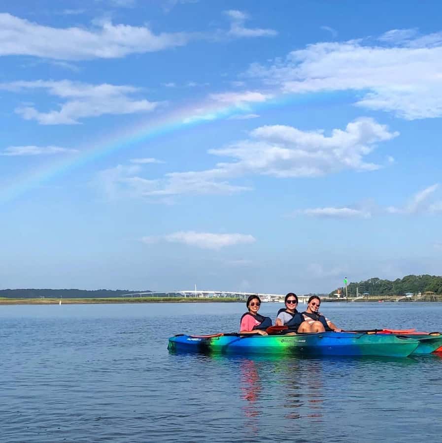 Hilton Head: 2-Hour Kayak Dolphin Nature Tour - What you’ll actually see: dolphins plus a whole wildlife cast
