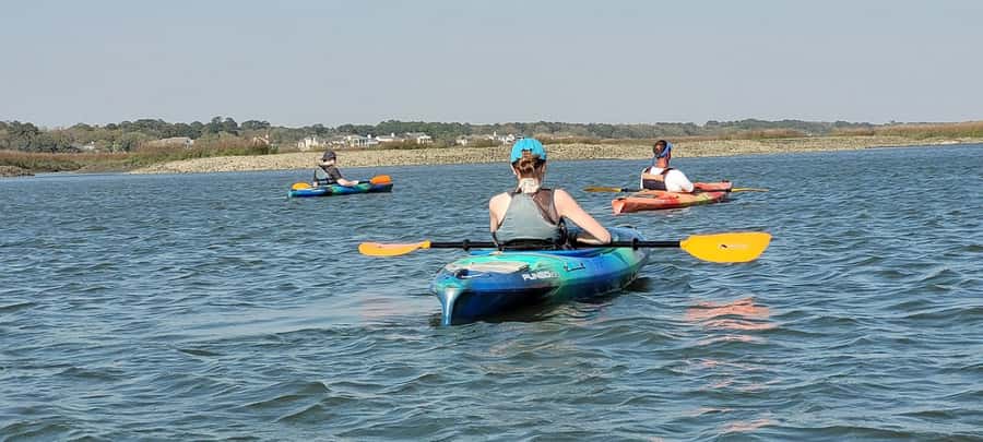 Hilton Head: 2-Hour Kayak Dolphin Nature Tour - Price and value: is $47 for 2 hours a fair deal?