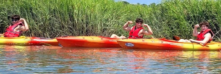 Hilton Head: 2-Hour Kayak Dolphin Nature Tour - What to bring (and what not to forget) for Hilton Head sun