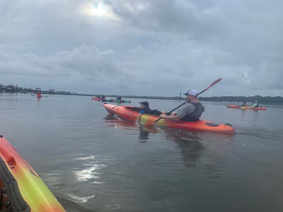 Hilton Head: 2-Hour Kayak Dolphin Nature Tour - Who should book this dolphin kayak tour (and who should skip it)