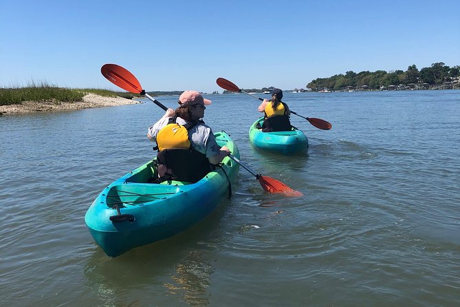 Hilton Head Guided Kayak Eco Tour - Key Highlights You’ll Actually Feel