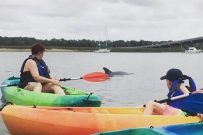 Hilton Head Guided Kayak Eco Tour - Paddle Clinic, Safety, and Comfort On Day One