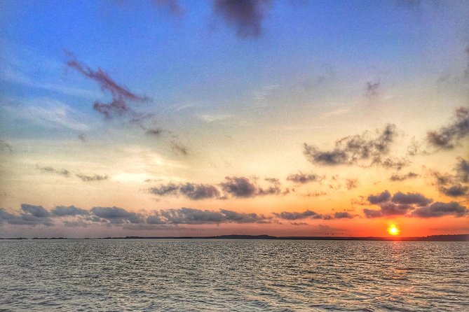 Hilton Head Guided Kayak Eco Tour - How Long Is It, and How Hard Should You Expect?