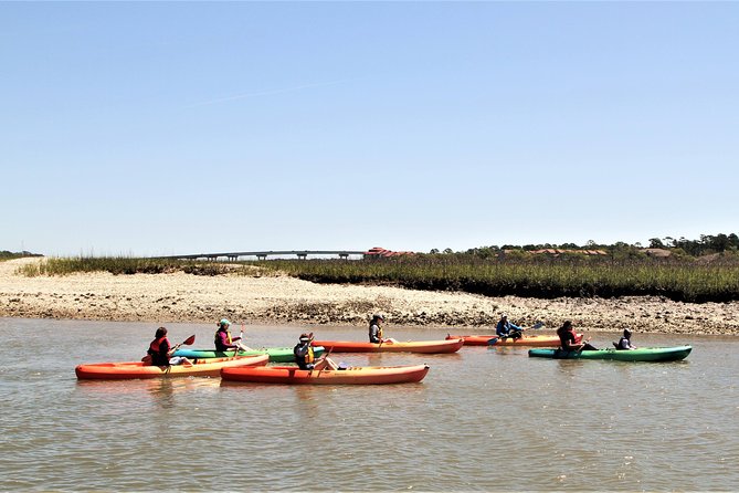 Hilton Head Guided Kayak Eco Tour - Dolphins, Birds, and the Fun Surprise Moments