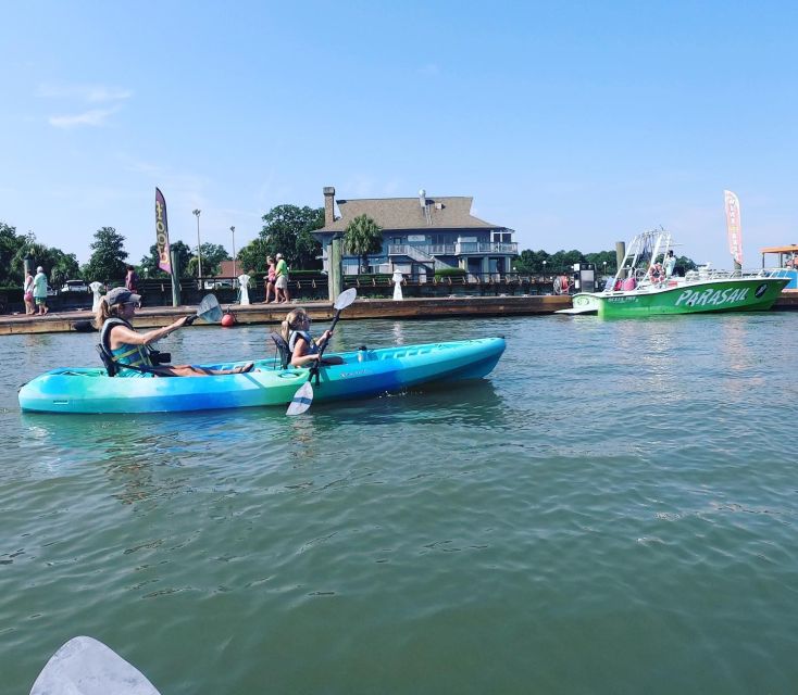Hilton Head: Guided Kayak Sunrise or Sunset Tour - Who this kayak tour is best for (and who should skip it)