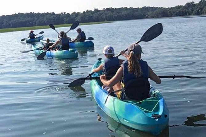Hilton Head Guided Kayak Tour - Skull Creek and the salt marsh: why this route is so good