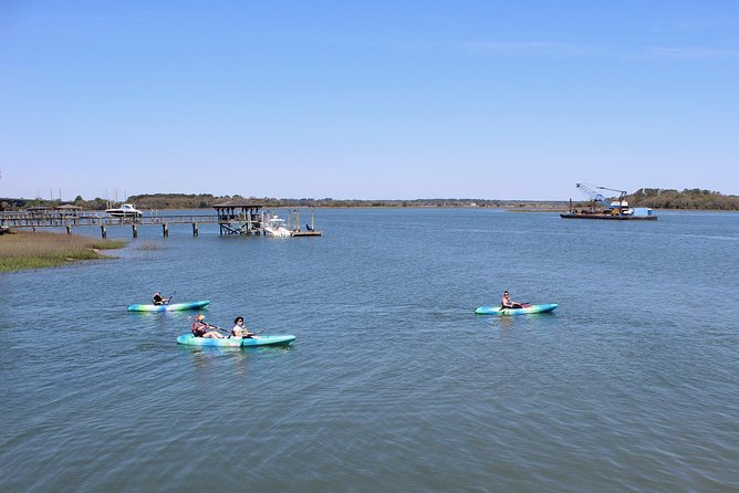 Hilton Head Guided Kayak Tour - Dolphins sightings: what affects your odds