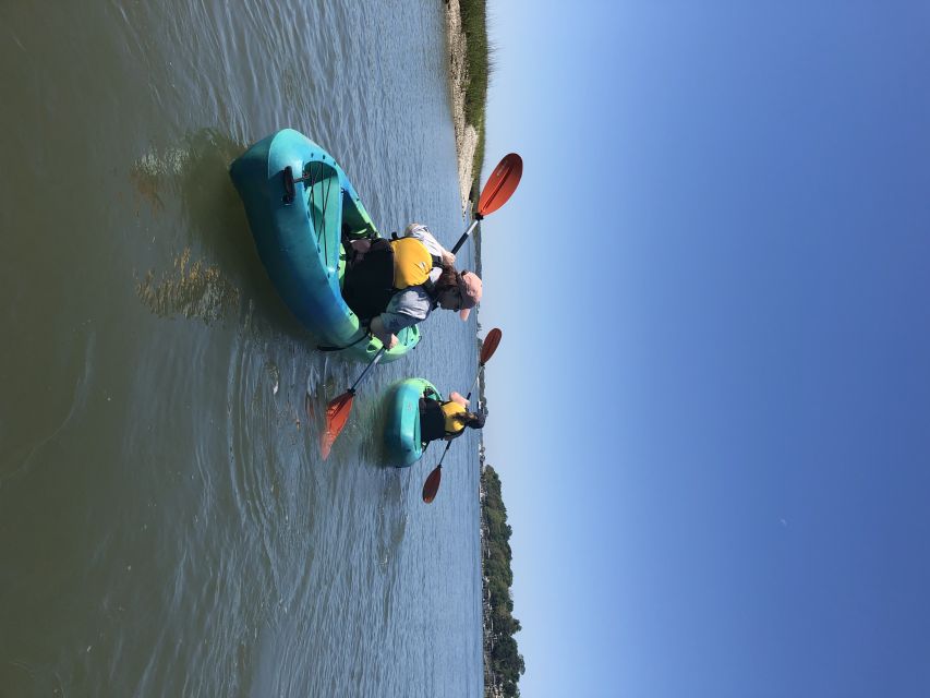 Hilton Head Island: 1.5-Hour Guided Small-Group Kayak Tour - Broad Creek paddling: what “calm water” really means for your day