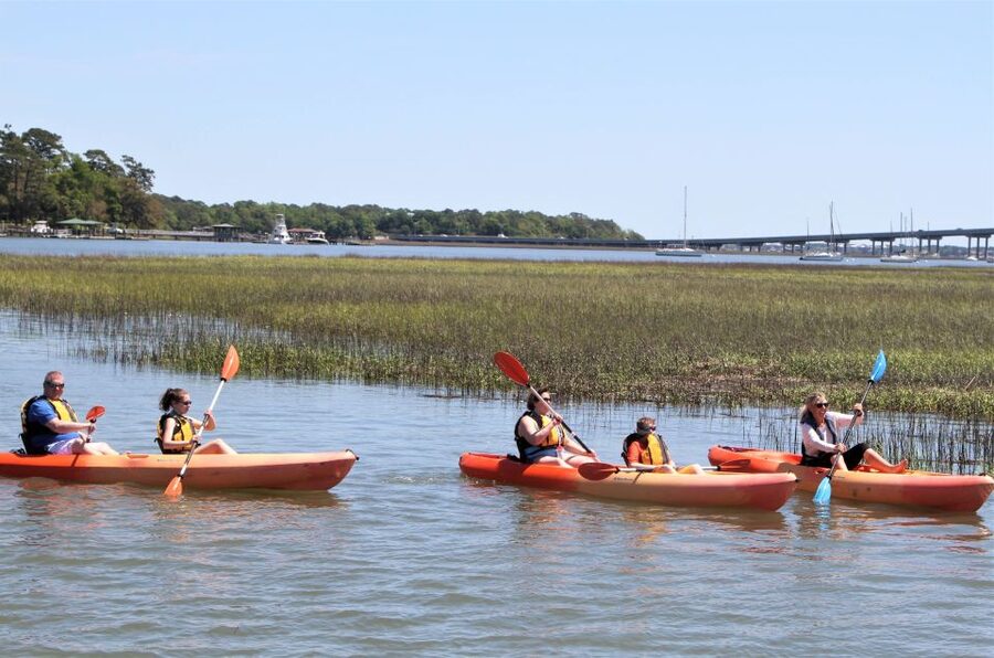 Hilton Head Island: 1.5-Hour Guided Small-Group Kayak Tour - Price and value: is $45 fair for a guided kayak?