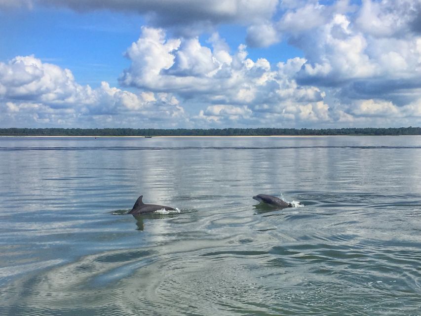 Hilton Head Island: 1.5-Hour Guided Small-Group Kayak Tour - Where you start: Palmetto Bay Marina and the Lowcountry Watersports office