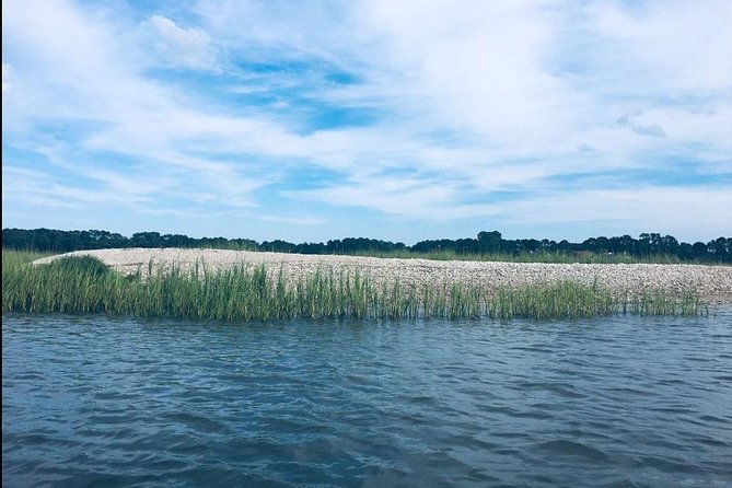 Hilton Head Morning Kayaking & Coffee Guided Tour - What you get included (and what you should plan to cover)
