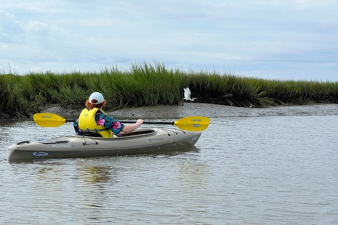 Hilton Head Outback Boat and Kayak Adventure - Who this tour suits best