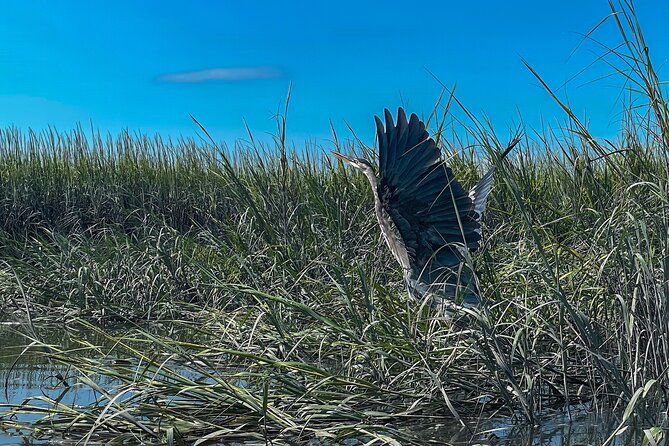 Hilton Head Outback Boat and Kayak Adventure - The snack reality: plan ahead for food and drinks