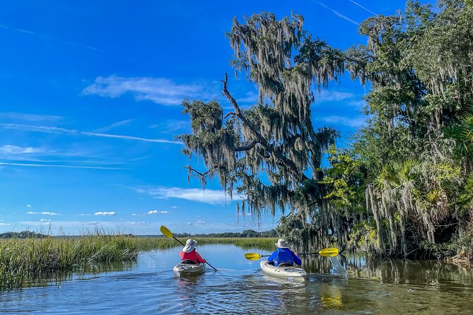 Hilton Head Outback Boat and Kayak Adventure - Meeting at Shelter Cove: what your morning looks like