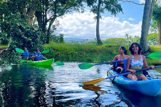 Historic Hilo Bay and Coconut Island Guided Kayak Adventure - Key Things to Know Before You Paddle