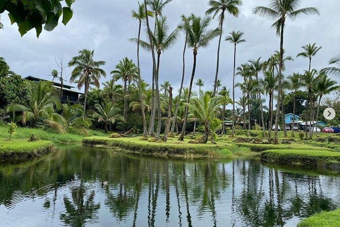 Historic Hilo Bay and Coconut Island Guided Kayak Adventure - Why This Kayak Ride Works: Coconut Island and Lili’uokalani Gardens