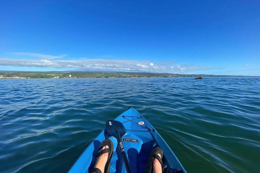 Historic Hilo Bay and Coconut Island Guided Kayak Adventure - How the 2 Hours Actually Feel on the Water