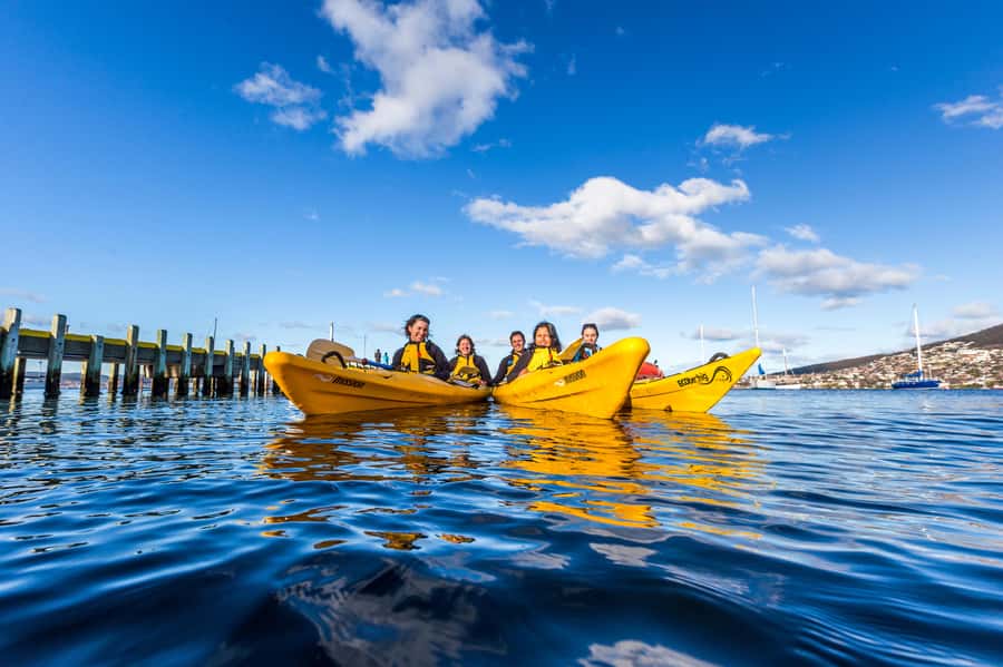 Hobart City 2.5-Hour Kayak Tour - Key things you’ll notice on the water