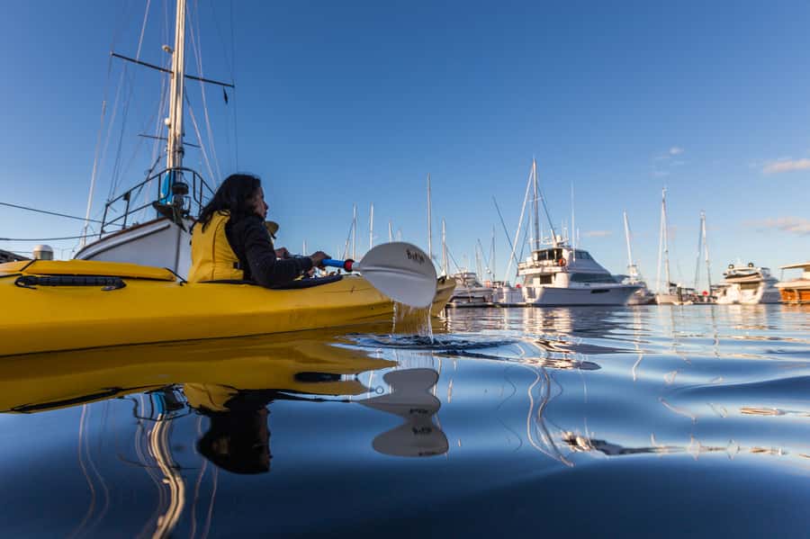 Hobart City 2.5-Hour Kayak Tour - Fish and chips in your kayak: the snack that feels like an event