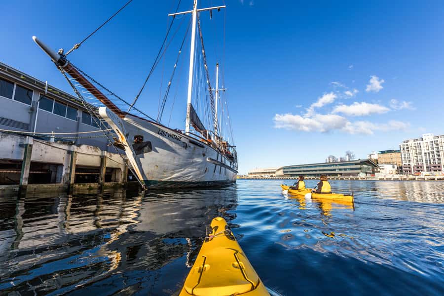 Hobart City 2.5-Hour Kayak Tour - Guide factor: how Amy, Rowdy, and Mike shape the day