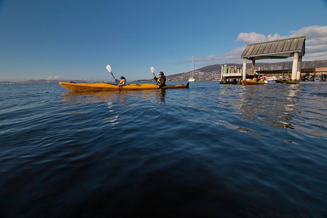 Hobart Kayak Tour - Getting Started at Sandy Bay: What the Morning Really Means