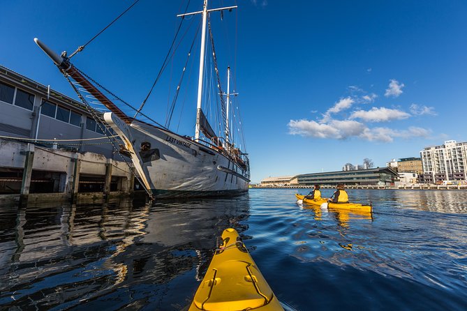 Hobart Kayak Tour - The 10-Hour Tasman Peninsula Tour: Wildlife Time and Fitness Check