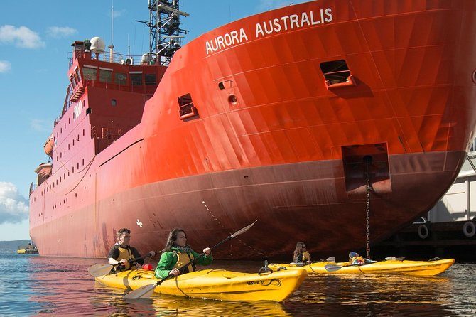 Hobart Kayak Tour - Guides and Paddling Coaching: How You Actually Learn on the Water