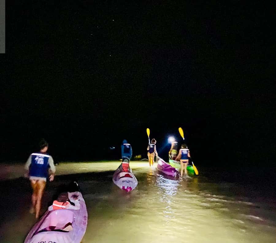 Holbox: Bioluminescence by Kayak and Stargazing. - Why this Holbox night kayak beats a quick photo stop