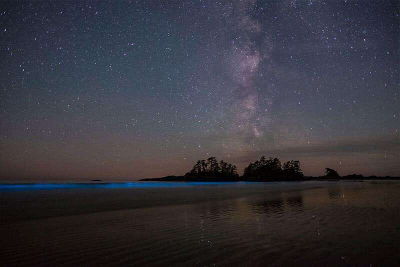 Holbox: Guided Bioluminescence Kayaking Tour - Key things you should know before you go