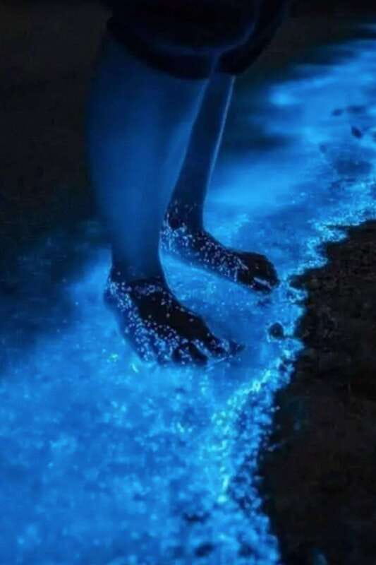 Holbox: Guided Bioluminescence Kayaking Tour - The Easy Paddle Out: Getting Off the Light Grid
