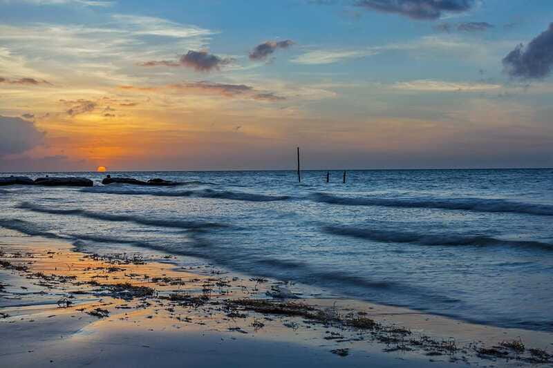 Holbox: Guided Bioluminescence Kayaking Tour - When the Sea Starts Sparkling: Understanding Bioluminescence