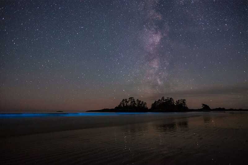 Holbox: Guided Bioluminescence Kayaking Tour - Price and Value at About $49 Per Person
